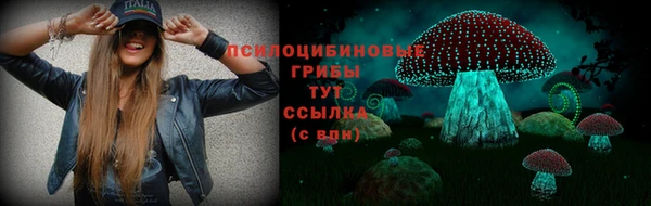 ПСИЛОЦИБИНОВЫЕ ГРИБЫ Костерёво