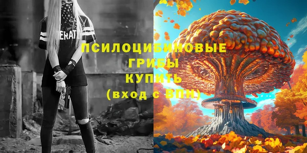 меф VHQ Козловка