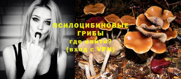 синтетический гашиш Кодинск